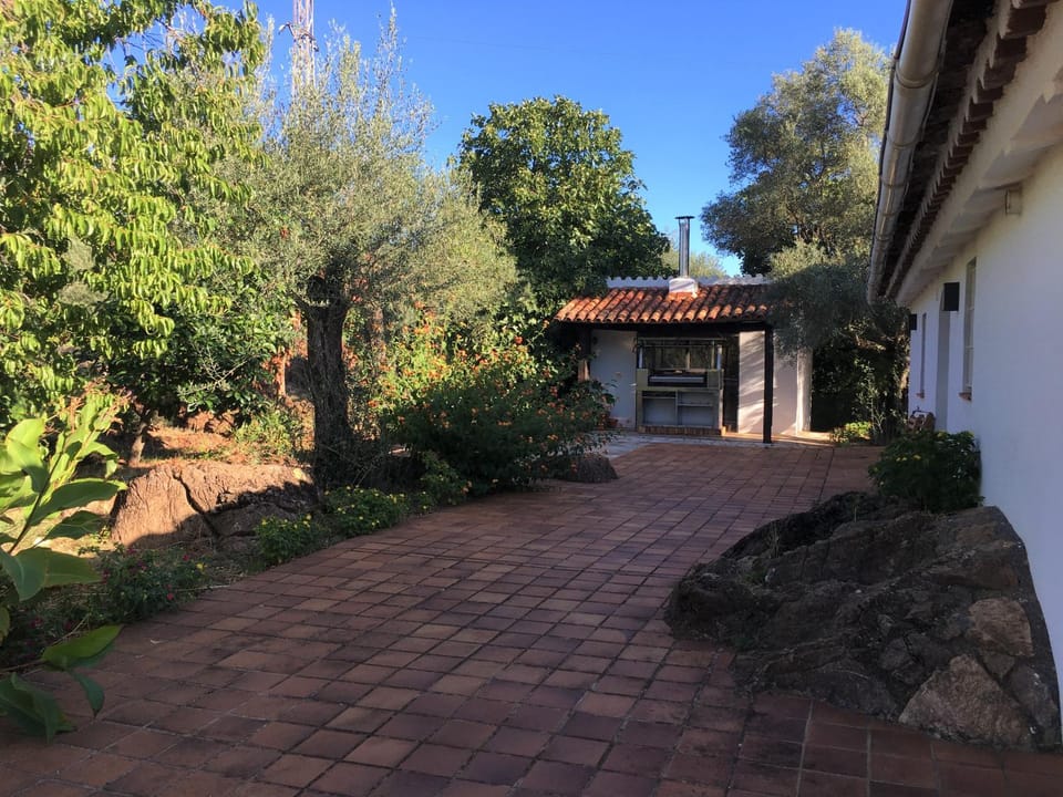 BBQ facilities, Garden