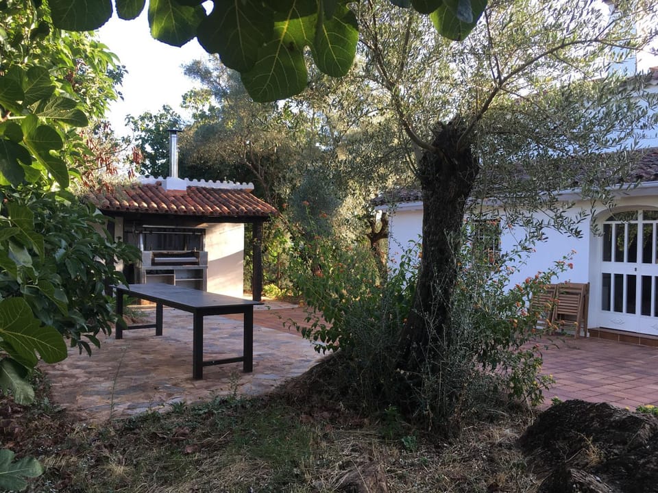 Patio, BBQ facilities, Garden