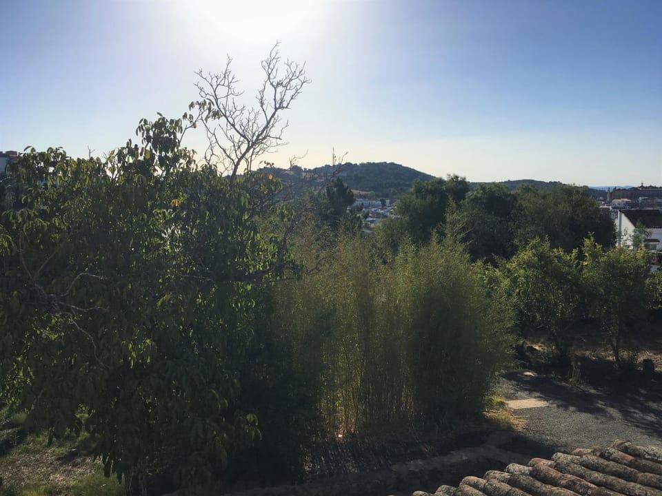 Natural landscape, Mountain view