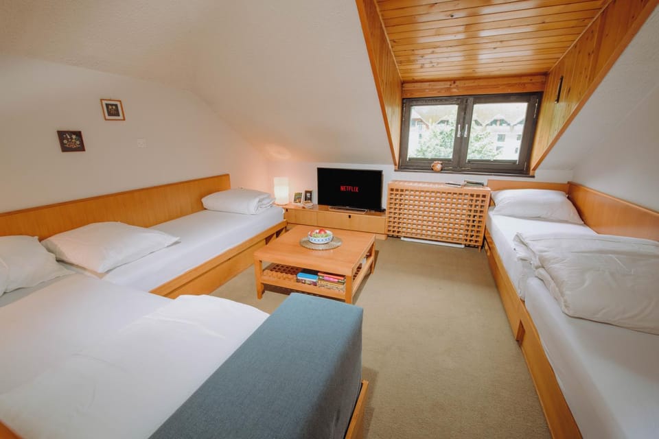 Bed, TV and multimedia, Photo of the whole room