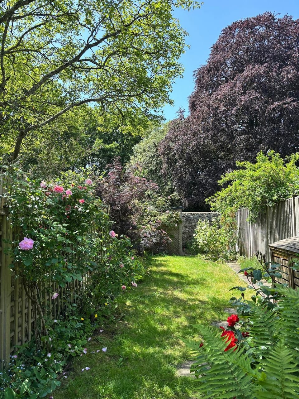 Natural landscape, Garden, Garden view