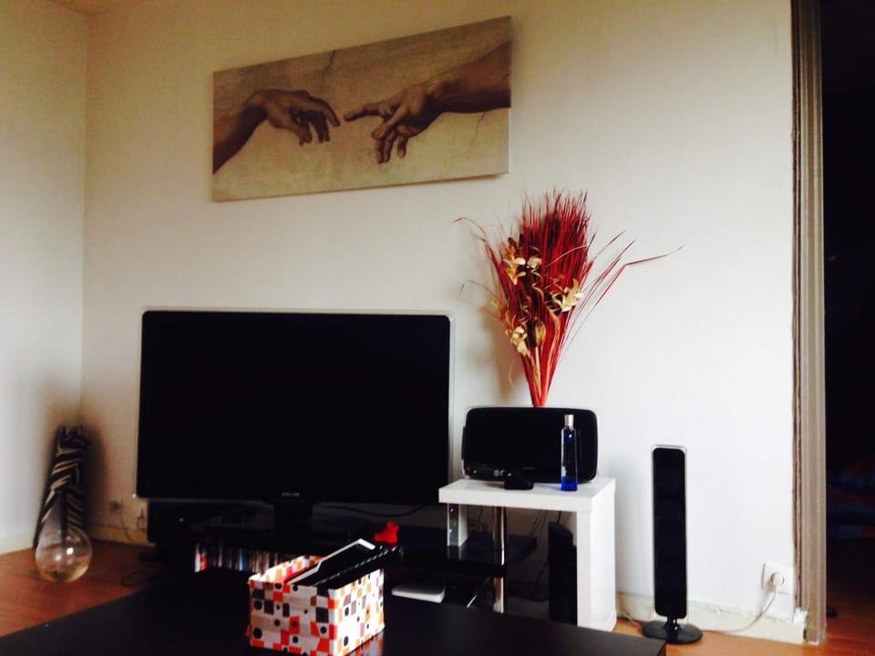 TV and multimedia