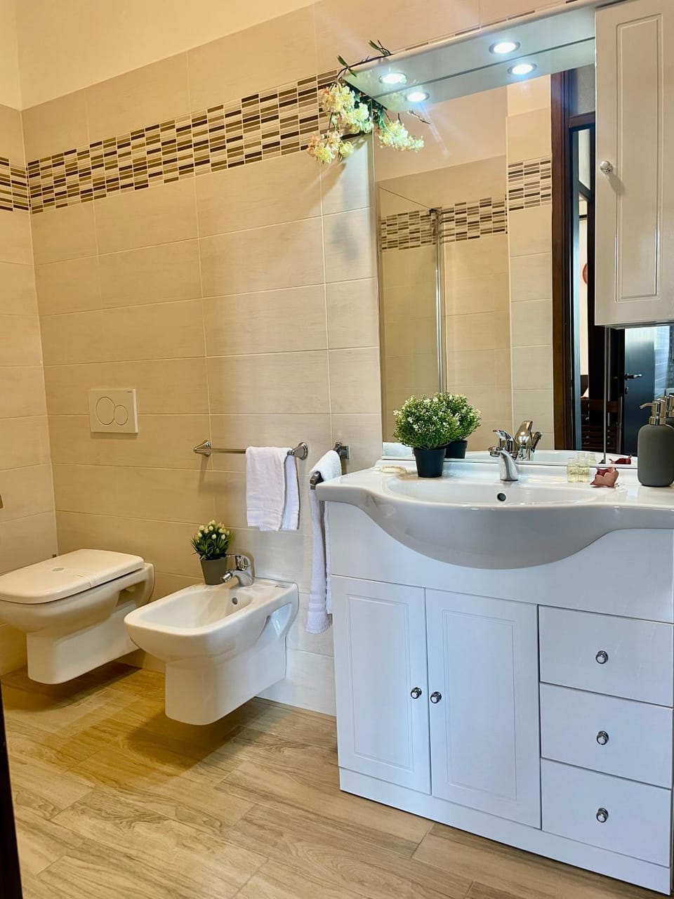 Toilet, Bathroom, bidet