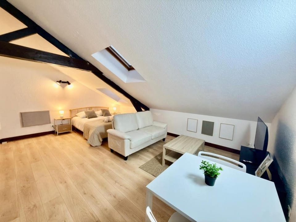 Studio 7 Cocooning Aristide Briand - DABNB Apartment in Limoges