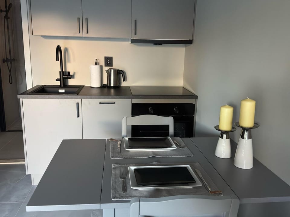 Coffee/tea facilities, Kitchen or kitchenette, dishwasher, stove