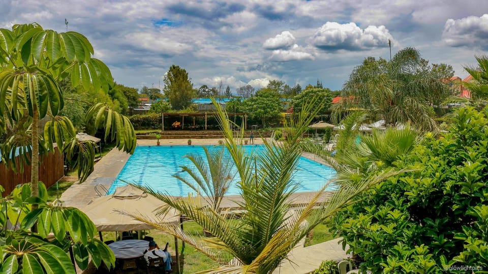 Swimming pool, Swimming pool