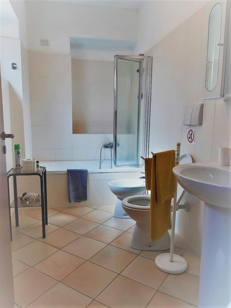 Shower, Toilet, Bathroom, bidet