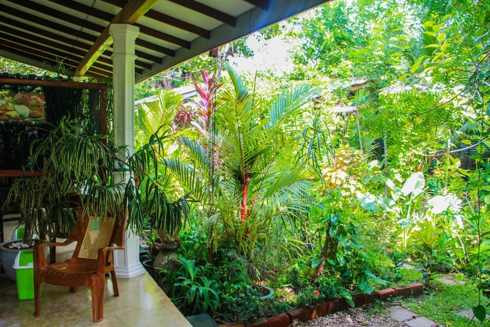 Garden, Garden view