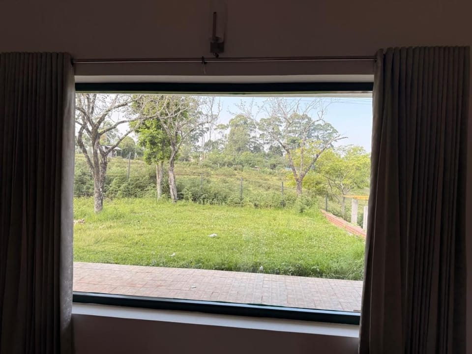 Day, Natural landscape, Garden view