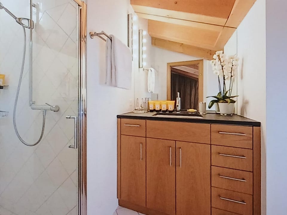 Chalet Pleyeuse Apartment in Riddes