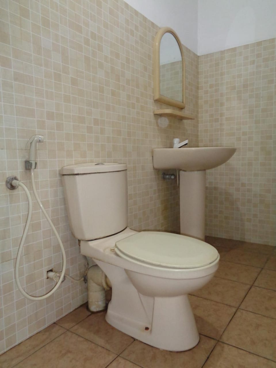 Shower, Toilet, Bathroom, bidet