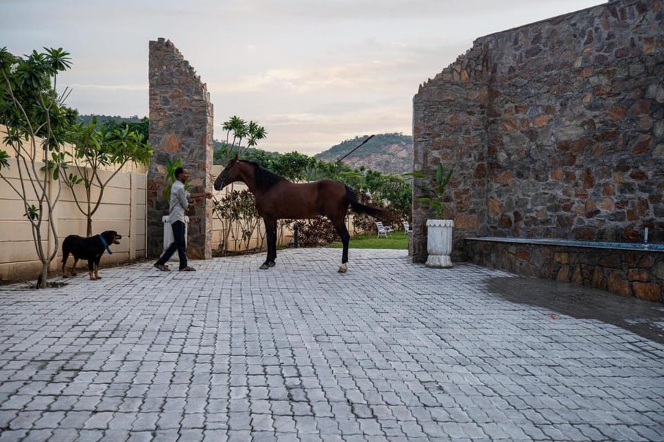 La Viola Villa in Rajasthan