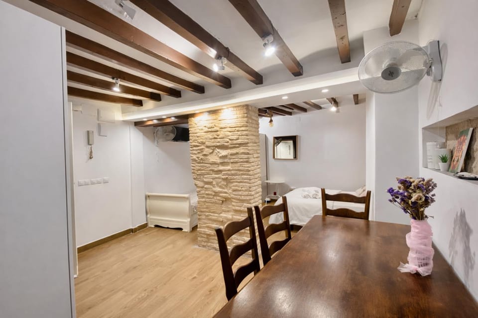 Boutique Barcelo Casco antiguo Alicante Apartment in Alicante