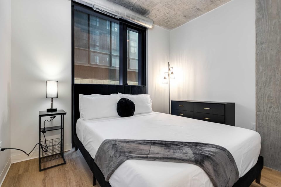 South Loop Rooftop With In and Out Parking 5 Apartment in South Loop