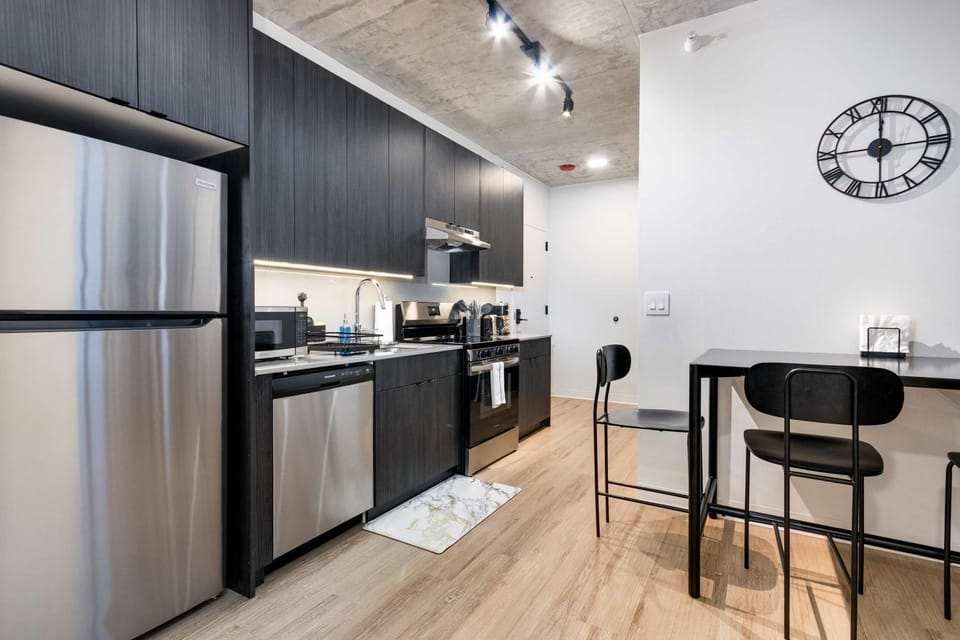 South Loop Rooftop With In and Out Parking 5 Apartment in South Loop