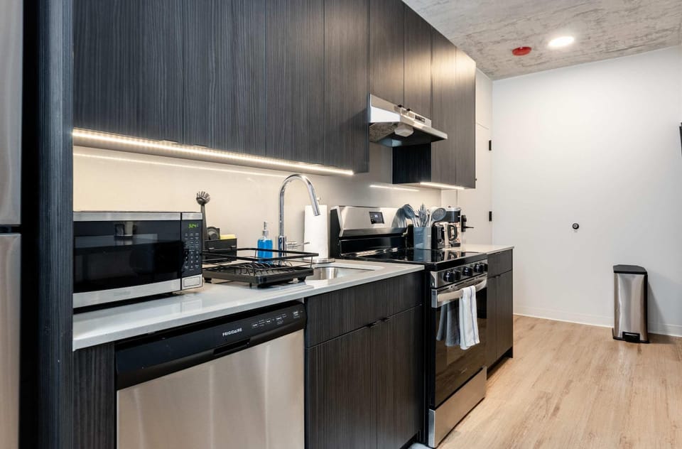 South Loop Rooftop With In and Out Parking 5 Apartment in South Loop