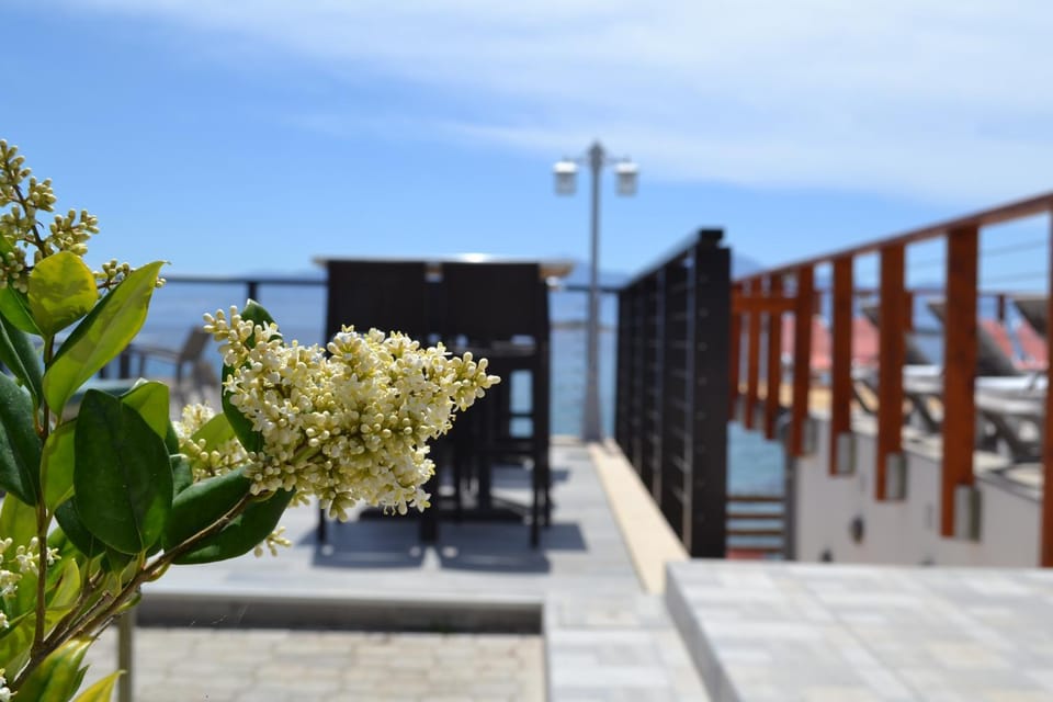 Day, View (from property/room), Sea view