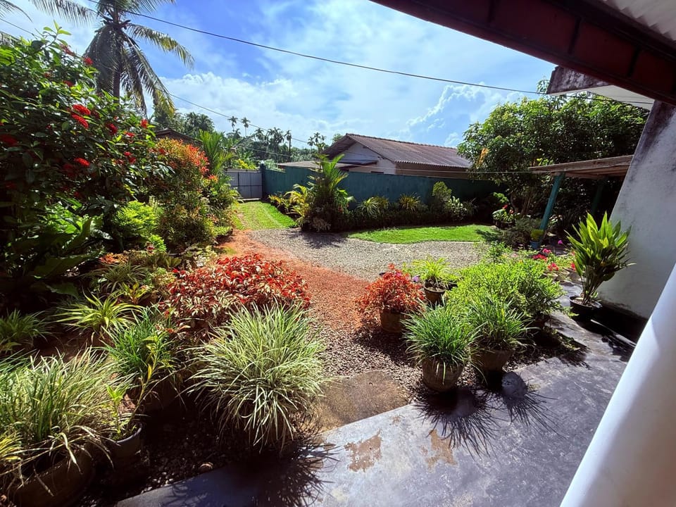 Spring, Garden, Garden, Garden view