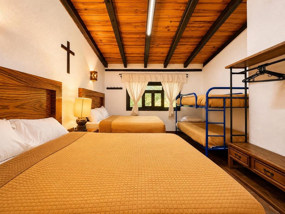 Bed, Photo of the whole room, Bedroom, bunk bed