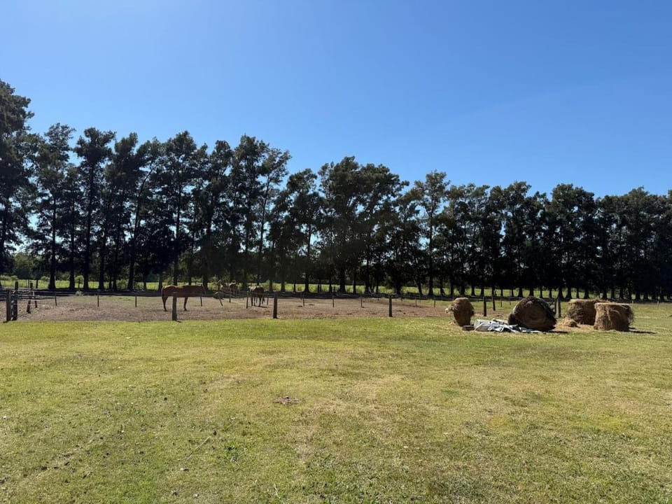 Natural landscape, Garden