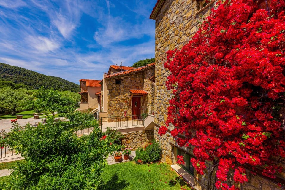 Mediterraneo Luxury Suites Halkidiki Apartment in Halkidiki