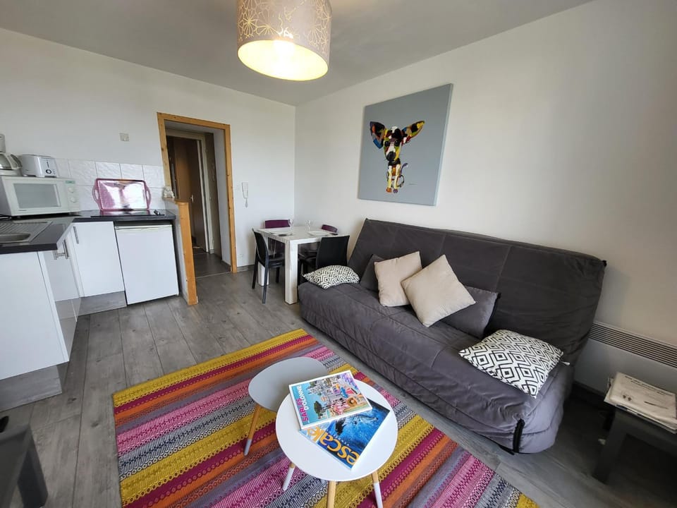 Appartement T2 rénové face mer avec balcon, à 150m de la plage et 300m des commerces Apartment in Château-d'Olonne