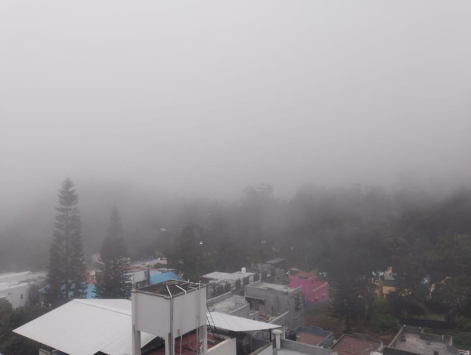 View (from property/room)