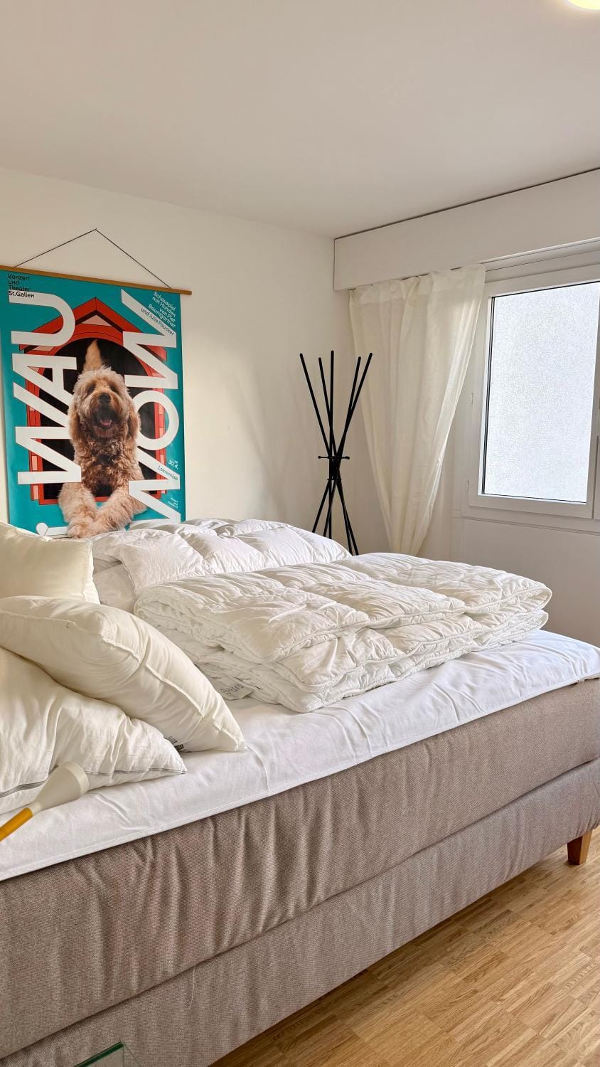 Bed, Photo of the whole room, Bedroom