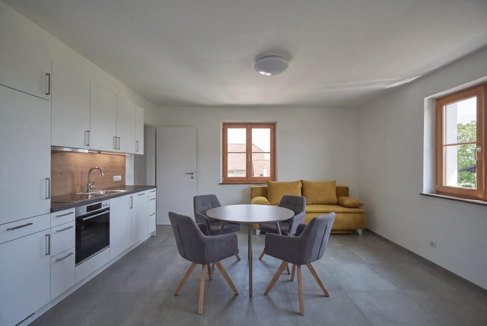 Kitchen or kitchenette, Living room, Seating area, Dining area, oven, stove