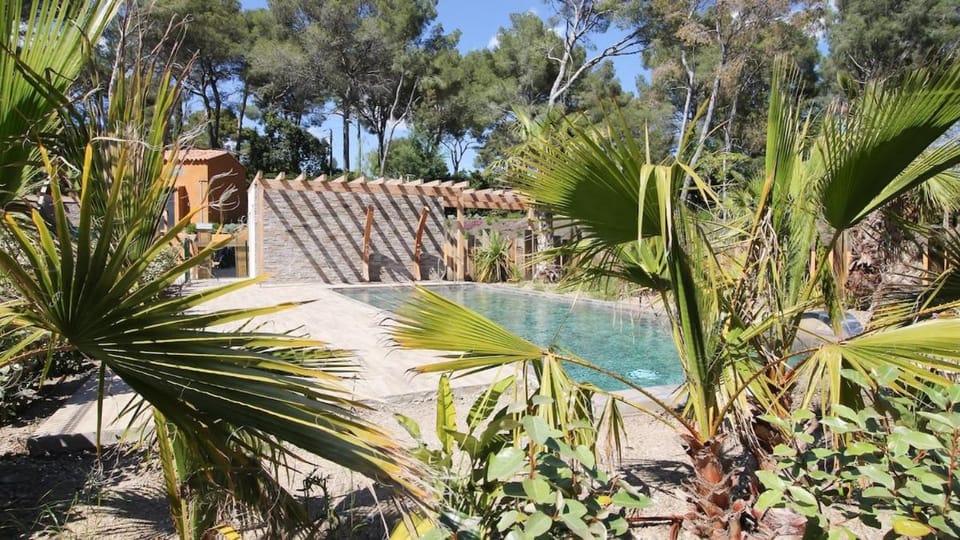Eucalyptus apartment, swimming pool, beach 500 meters away Apartment in La Croix-Valmer