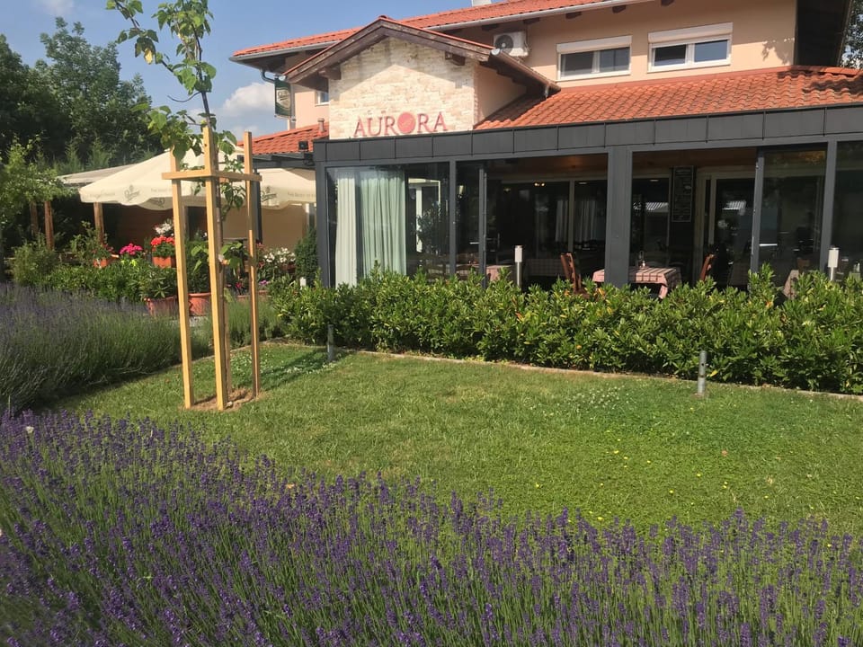 Aurora Panzió Bed and Breakfast in Hungary