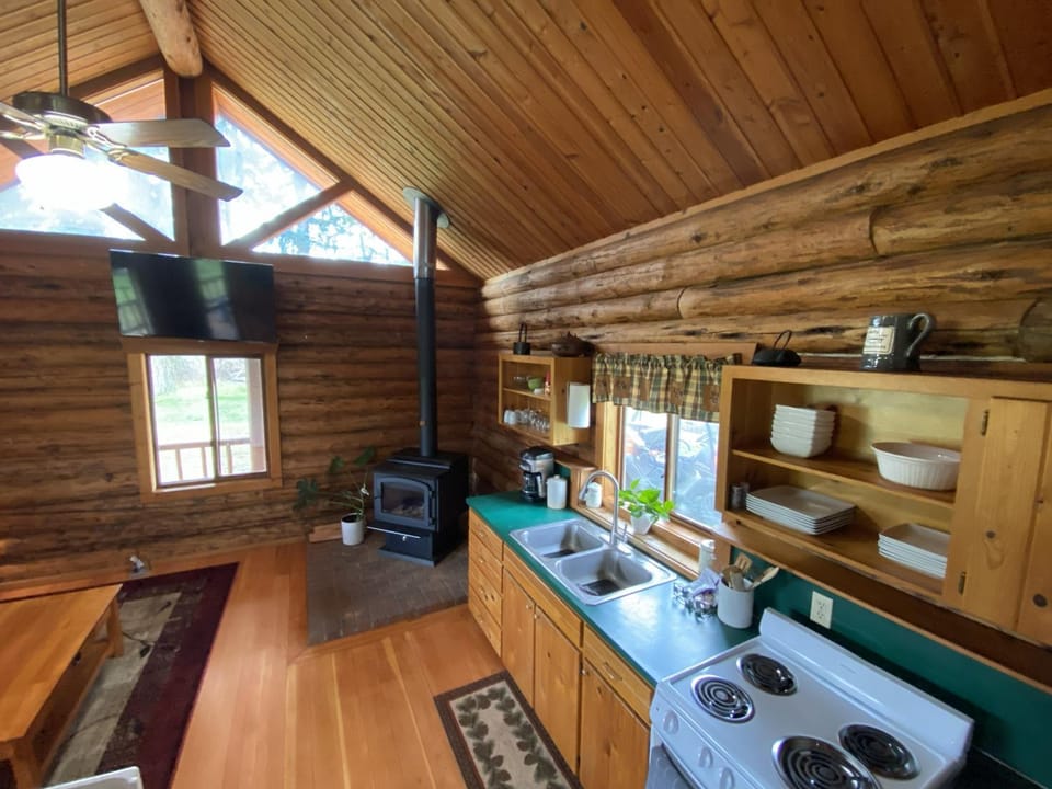 Kitchen or kitchenette, kitchen