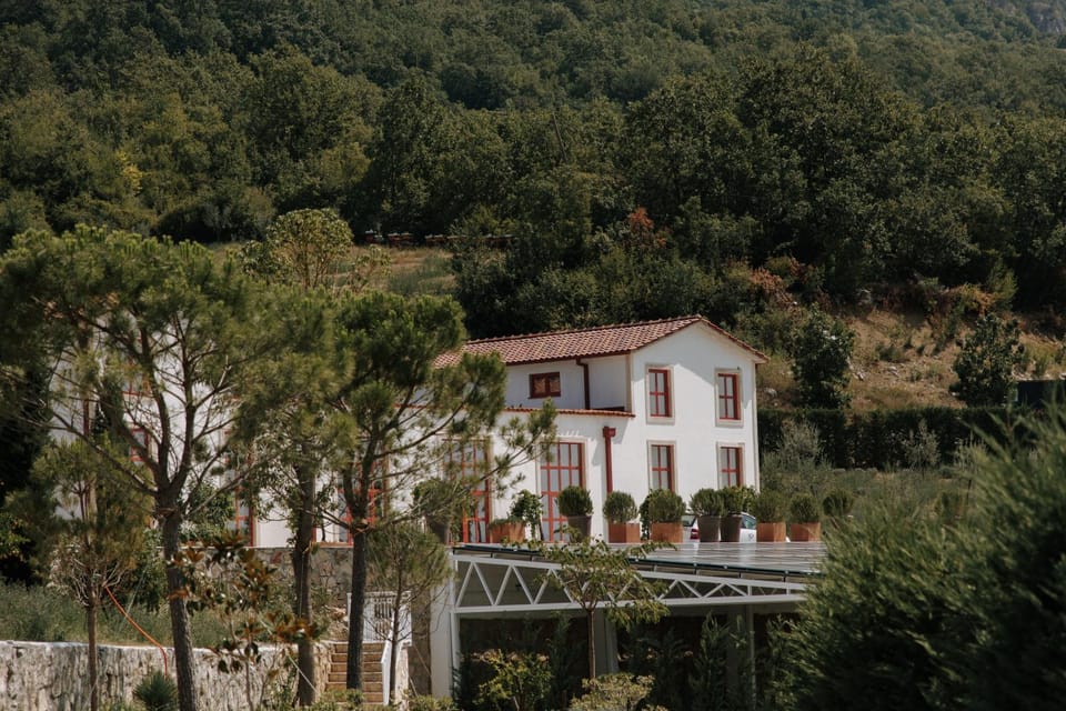 Property building, Day, Natural landscape