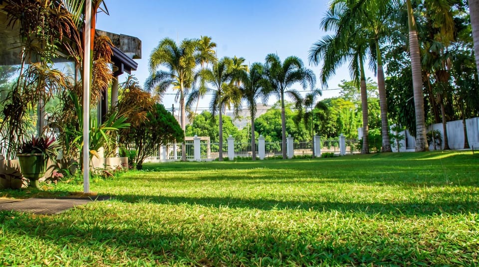 Natural landscape, Garden, Garden view