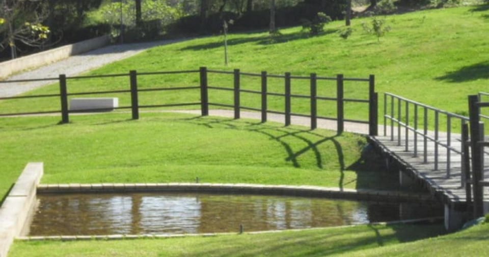Natural landscape, Garden, Garden view