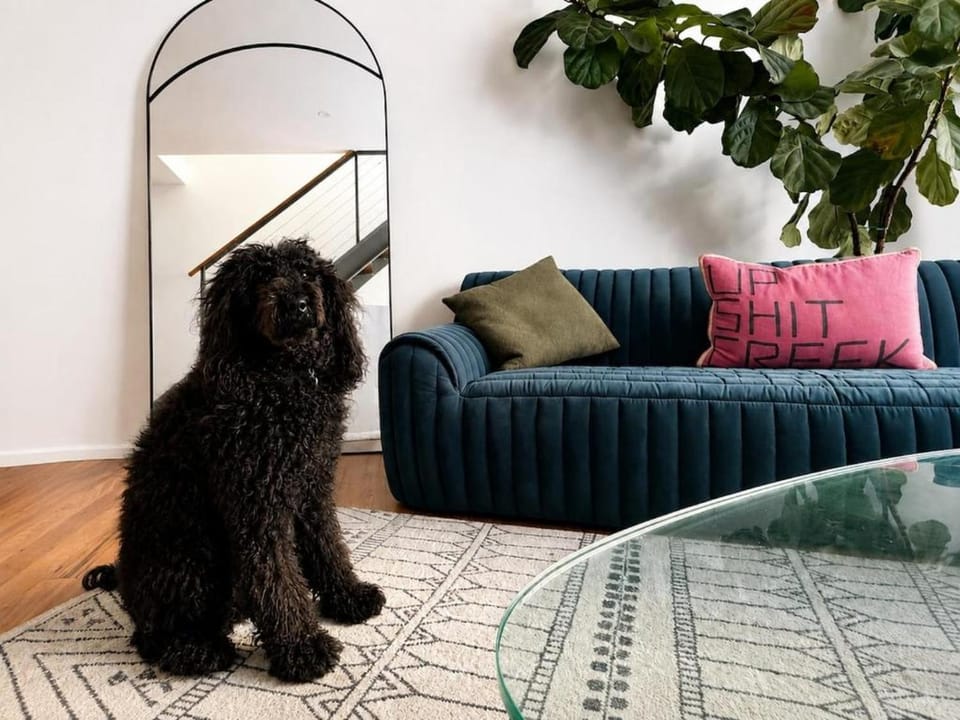 Living room, Seating area, Pets