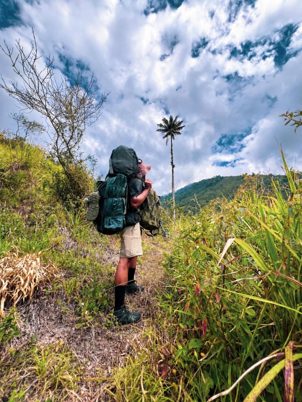 Camping La Rosa - Trek Luxury tent in North Santander, Colombia