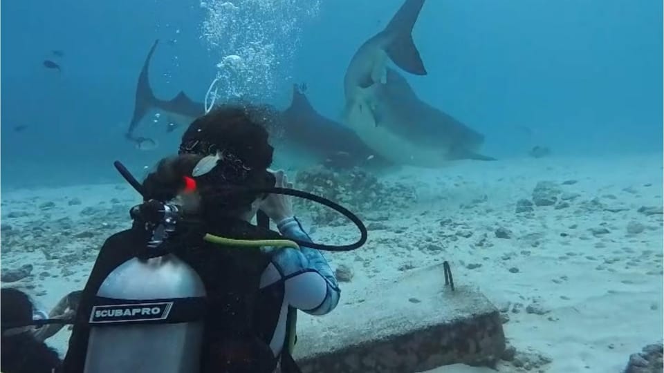 Diving