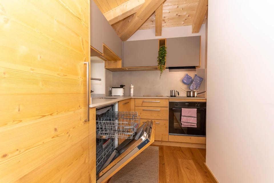 Kitchen or kitchenette, dishwasher, oven, stove, toaster