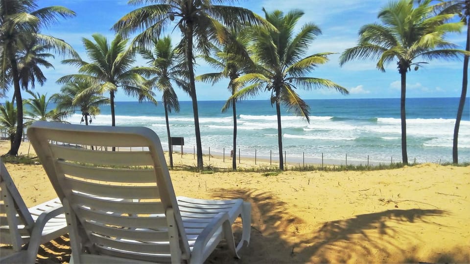 Nearby landmark, Day, Natural landscape, Beach, Sea view, sunbed