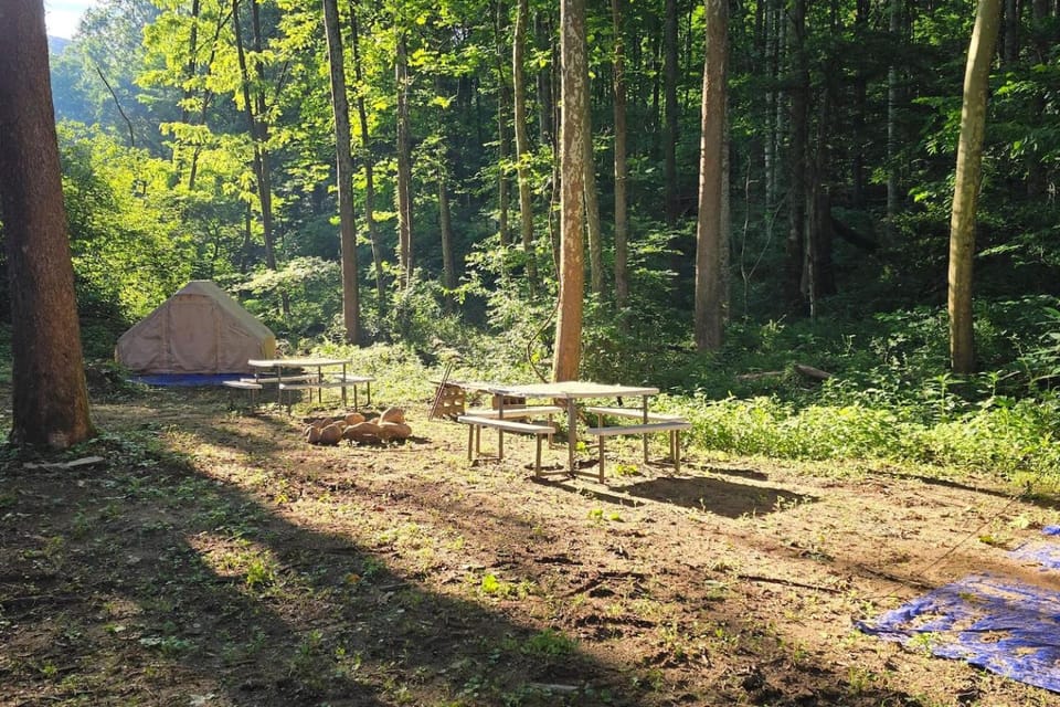 RiverCamp Lodge Cabin 2 Glamping Tents Cabin in Dry Fork