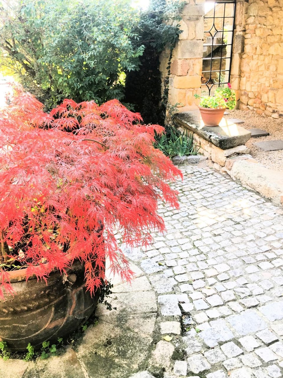 La Charmeraie Bed and Breakfast in Auvergne-Rhône-Alpes