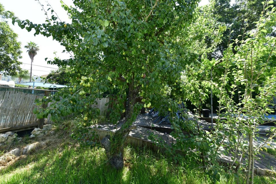 Natural landscape, Garden