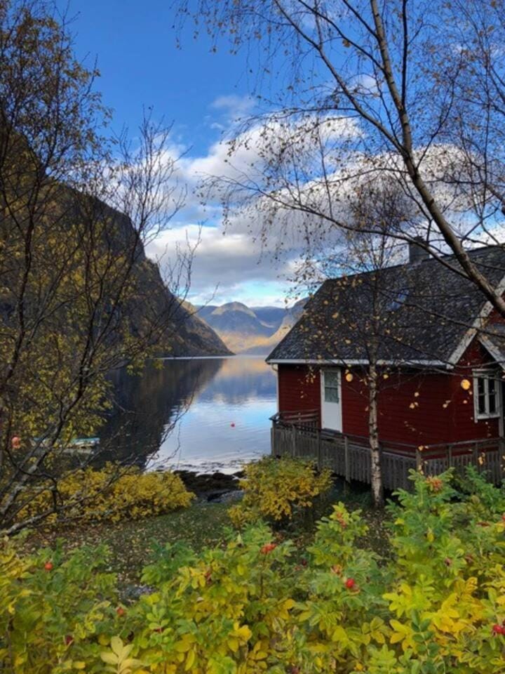 Fretheim Fjordhytter House in Flam