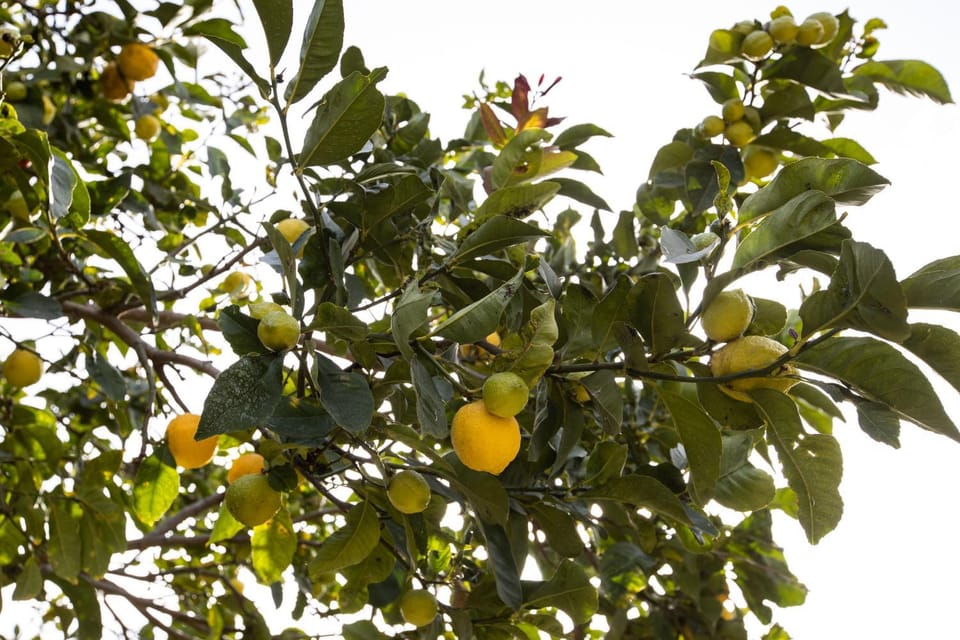 Casa Theoni House in Rhodes, Greece