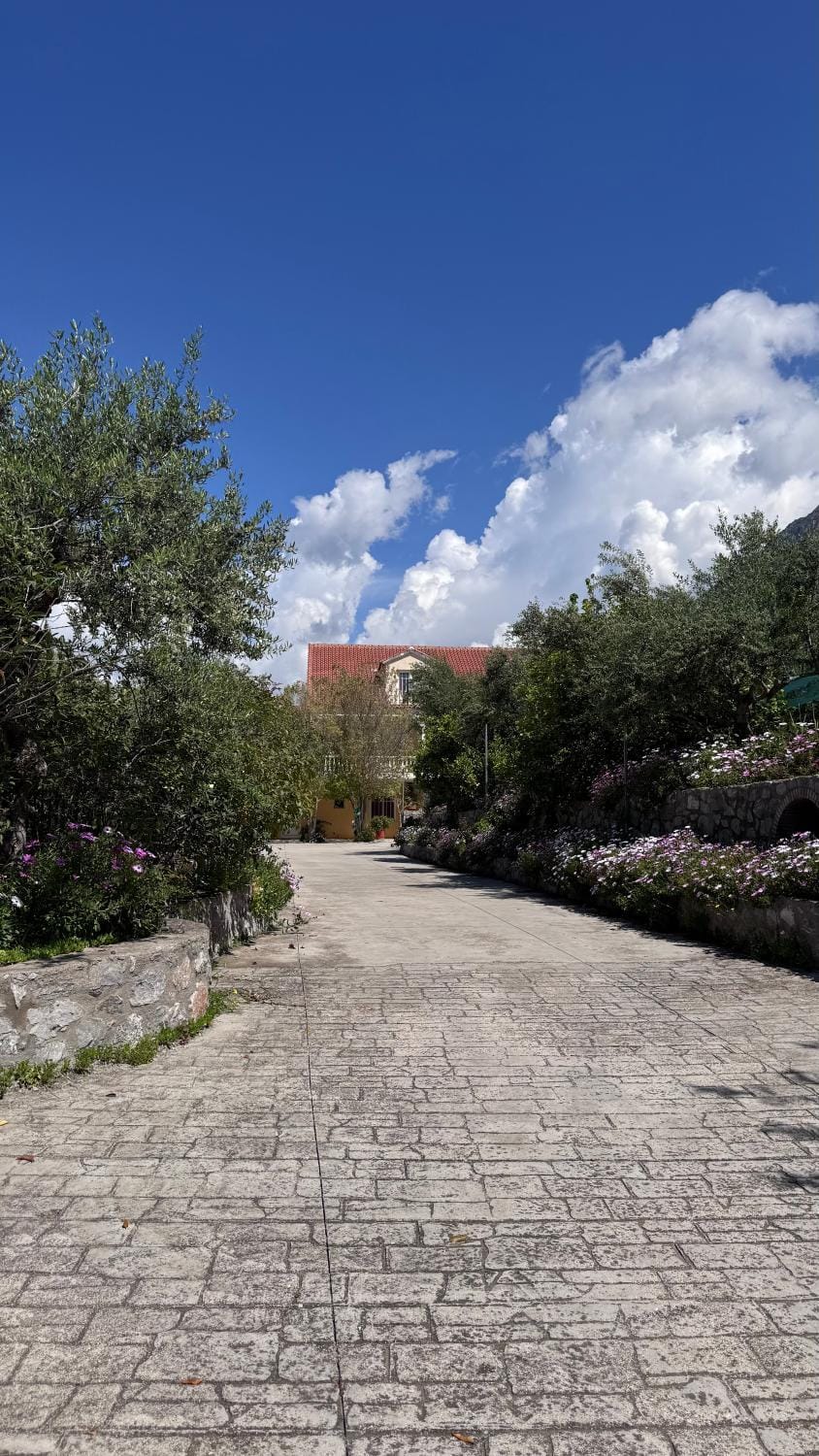 Property building, Day, Natural landscape