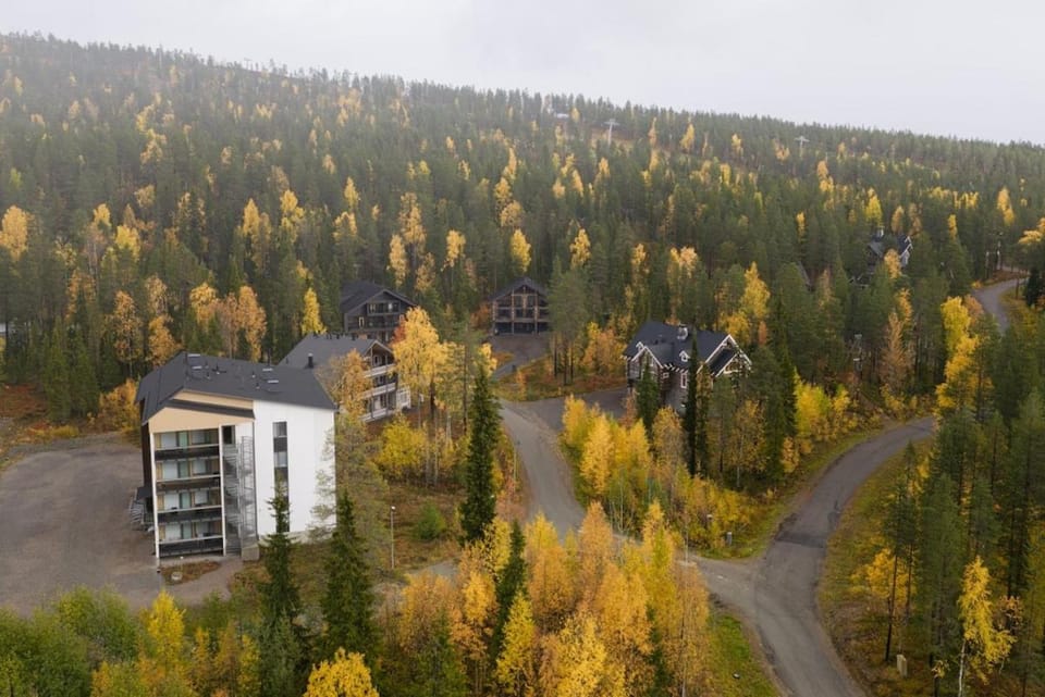 Property building, Natural landscape, Bird's eye view
