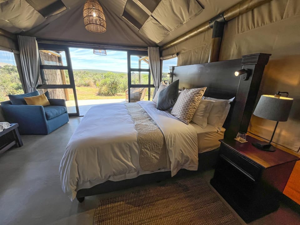 Bed, View (from property/room), Bedroom