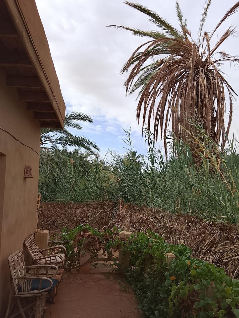Tianya Hostel Siwa 锡瓦天涯青年旅舍 Hostel in Egypt