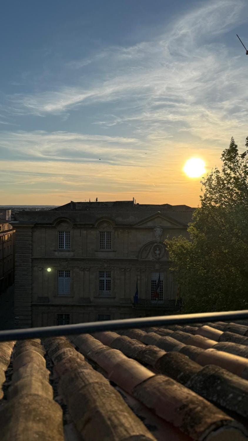 Duplex with terrace and air conditioning Apartment in Aix-en-Provence